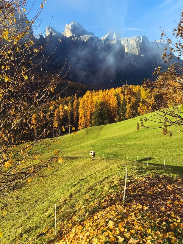 L’autunno ci insegna a rallentare e innamorarci della bellez...