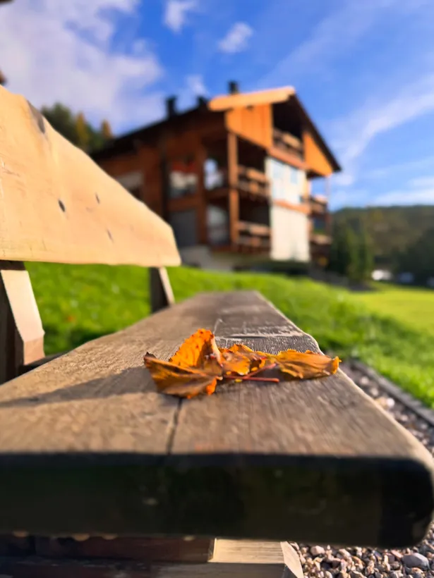 Tutta la bellezza di ottobre, tra sole, colori e meraviglia🍁...