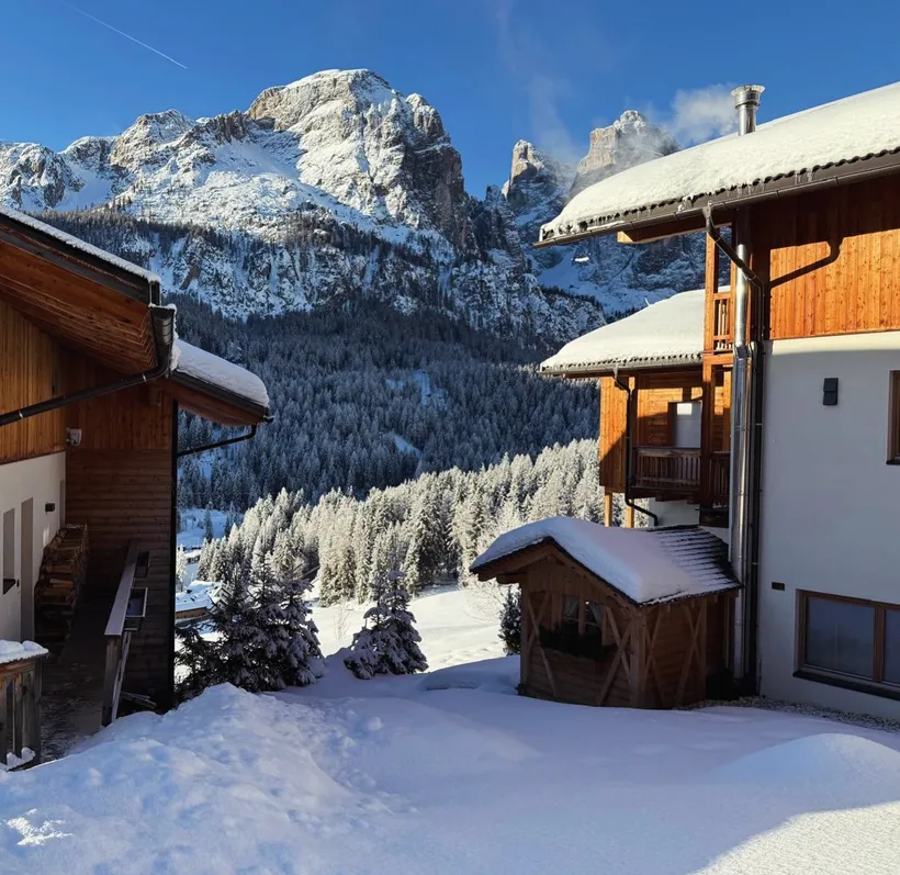 Tra neve soffice, amici a quattro zampe e giornate passate a...