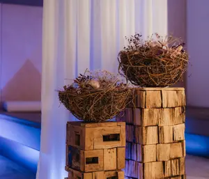 Dekorationen Lüch de Costa